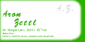 aron zettl business card